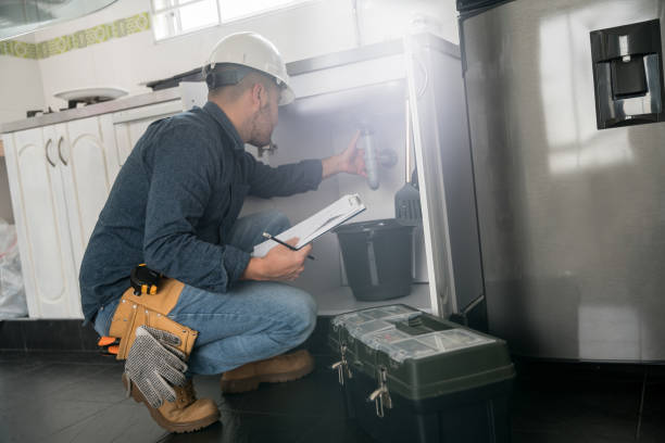 Best Drain Cleaning Services  in Sandwich, IL