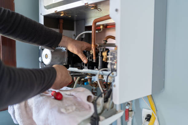 Best Clogged Drain Plumber  in Sandwich, IL