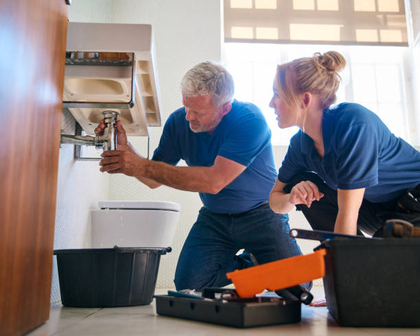 Best Leak Detection Services  in Sandwich, IL
