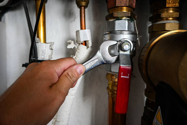 Best Toilet Repair Services  in Sandwich, IL